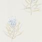 Sanderson Tapet Protea Flower China Blue/Canvas