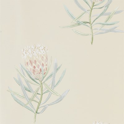 Sanderson Tapet Protea Flower Russet/Green