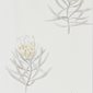 Sanderson Tapet Protea Flower Daffodil/Natural
