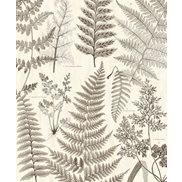 Intrade Tapet/Väggbild Herbarium Black