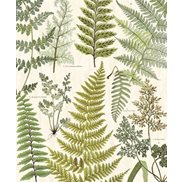Intrade Tapet/Väggbild Herbarium Green