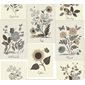 Rifle paper co Tapet Botanical Prints Beige/Black