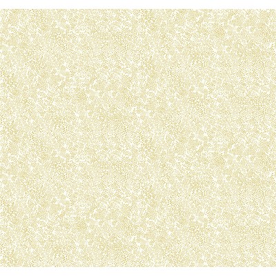 Rifle paper co Tapet Champagne Dots Gold/White
