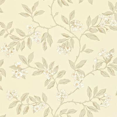Sanderson Tapet Blossom Bough Linen/Steel
