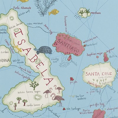 Sanderson Tapet Galapagos Azure