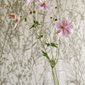 Sanderson Tapet Meadow Canvas White/Parchment