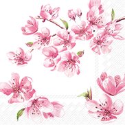 Servett Sakura Rose