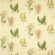 Sanderson Tyg Parchment Flowers Olive/Parchment